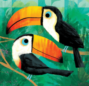 toucan in the jungle