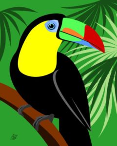 toucan in the jungle