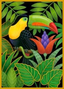 toucan in the jungle