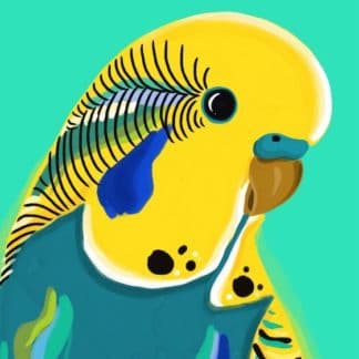 bold bird painting
