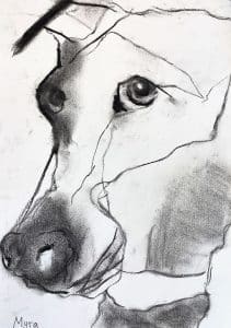 charcoal drawing dog