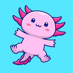 Pink axolotl floating tummy up