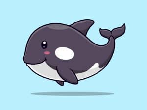 Cartoon cute killer whale