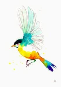 watercolour bird in flight