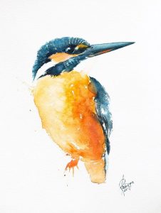 watercolour kingfisher