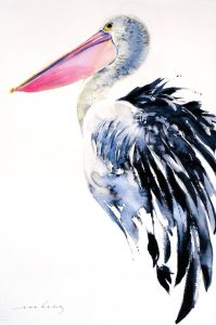 pelican in watercolour