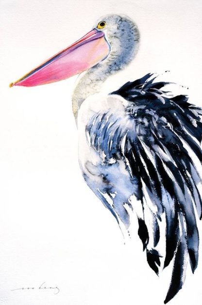 pelican in watercolour
