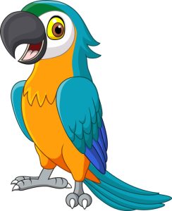 Macaw cute
