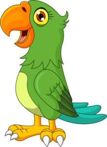 green macaw cartoon cute