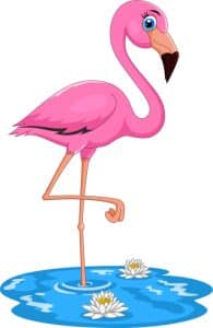 flamingo standing cartoon