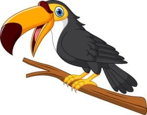 Cute toucan cartoon