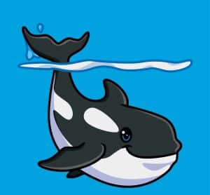 killer whale cartoon cute