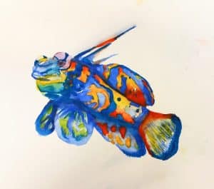 Emporer fish in watercolour