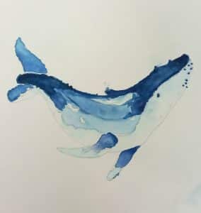 whale watercolour