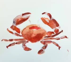 crab watercolour
