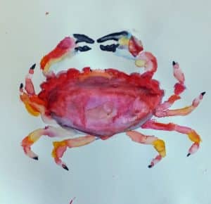 crab in watercolour