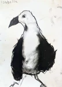 Seagull in charcoal