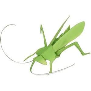 insect sculpture colourful card