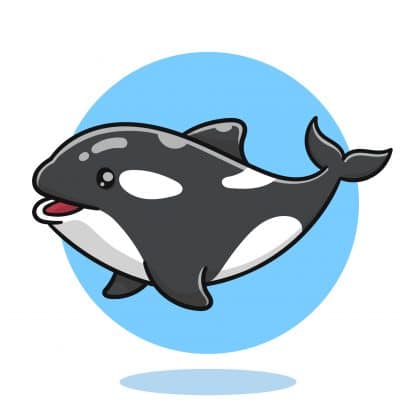 Killer whale cartoon