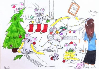 koalas behaving badly, mad, silly story