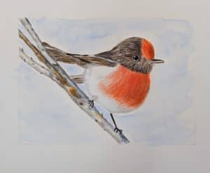 3. CASUAL EXPLORE ARTMAKING, Adult Class, Tuesday DAYTIME, Term 2, 2026