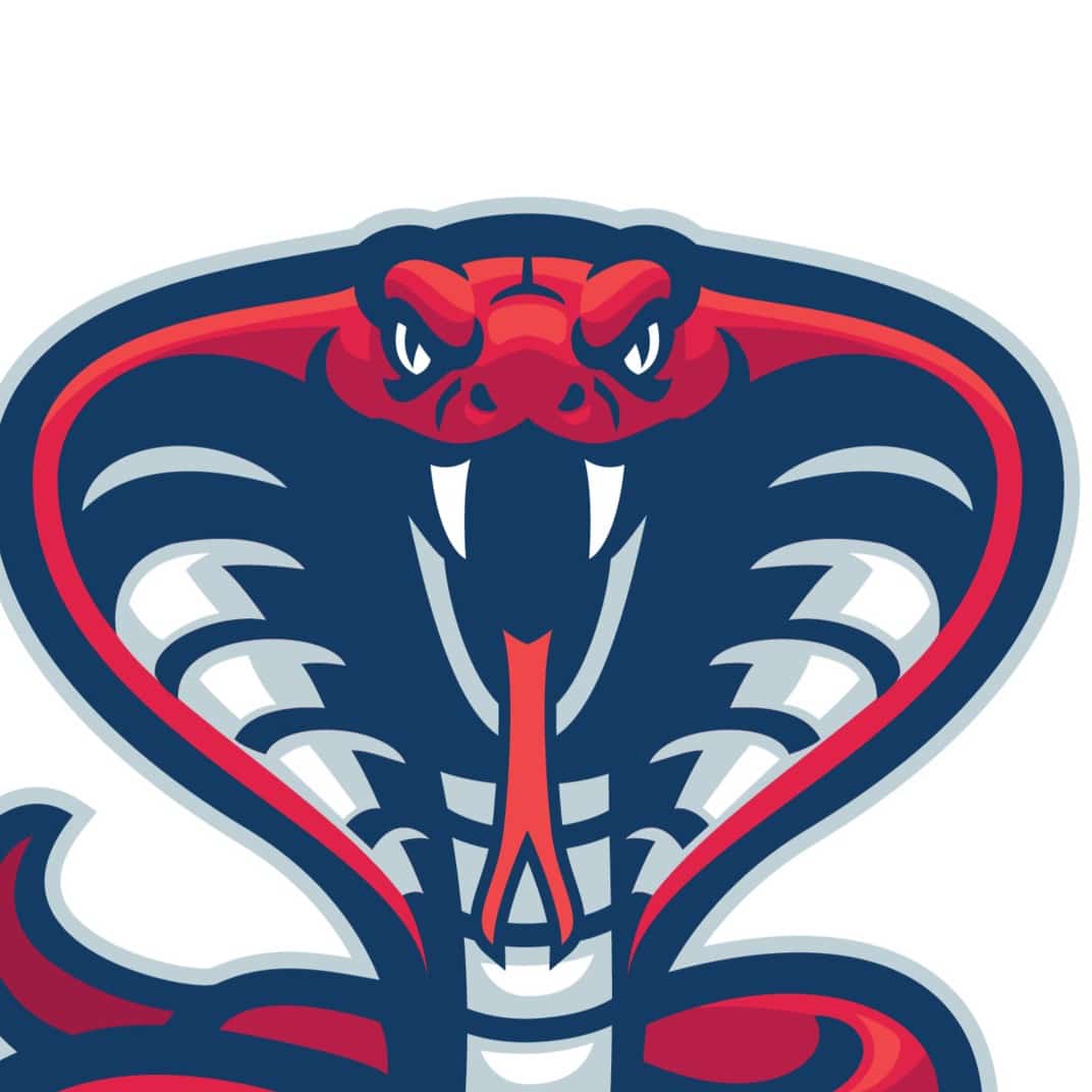 17. PREDATOR PORTRAITS IN CLAY, 5-12yrs, Thursday 9.30am-12.30pm, 17th April, 2026