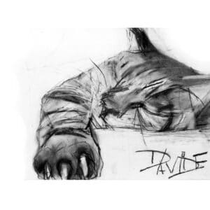 6. DRAW & PAINT IN CHARCOAL, 8-12yrs, Wednesday 1.30pm-4.30pm, 8th July, 2026