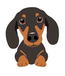 16. PET PORTRAIT PAINTING, 5-8yrs, Wednesday 1.30pm-4.30pm, 7th October, 2026