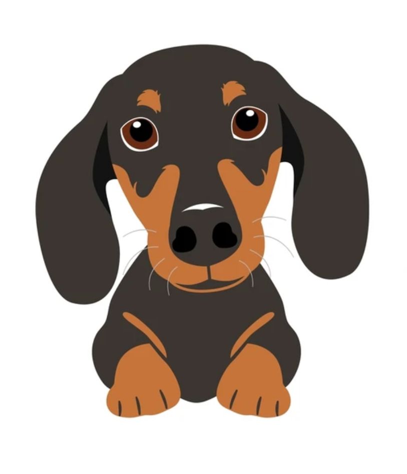 16. PET PORTRAIT PAINTING, 5-8yrs, Wednesday 1.30pm-4.30pm, 7th October, 2026
